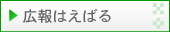 広報はえばる